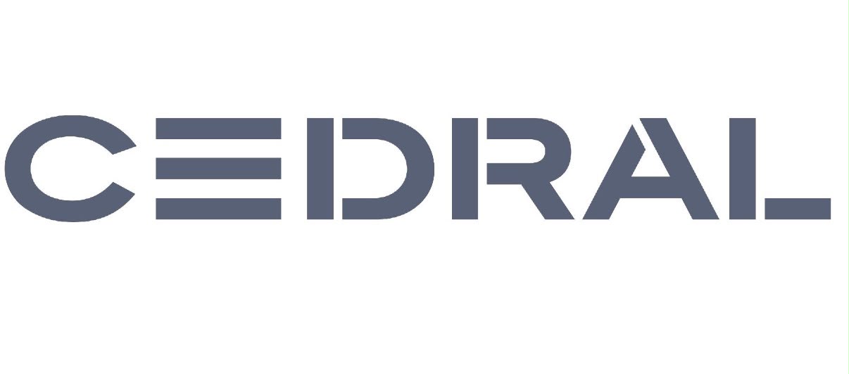 Partner logo 2